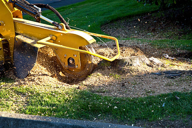 Artificial Turf Installation in South Valley Stream, NY